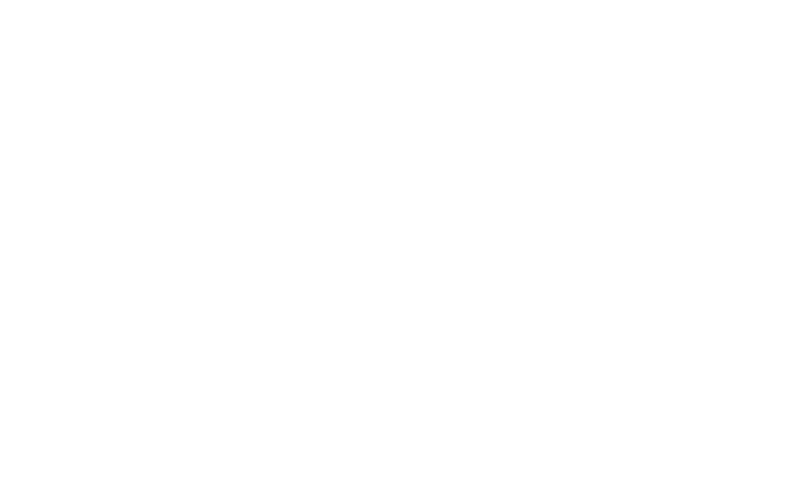 Logo de la marque la Castellamonte.