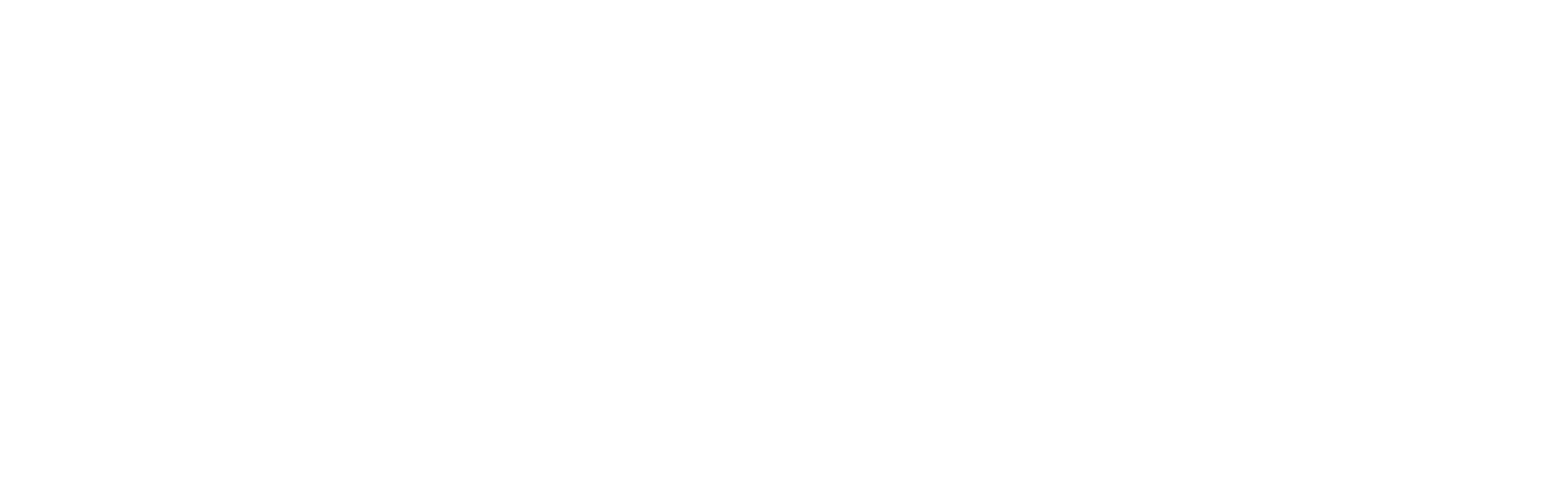 Logo de la marque Iron dog.