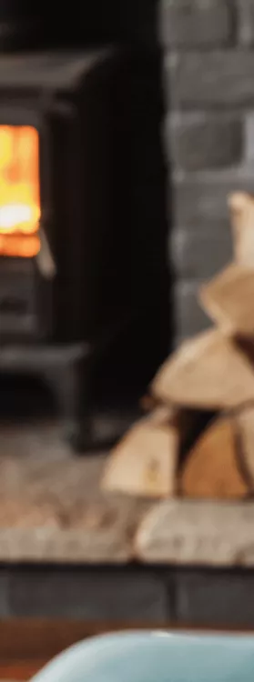 Photo d'un chien couché devant un poêle à bois.